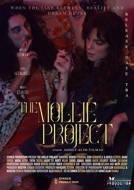 莫莉计划 The Mollie Project