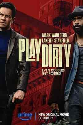 盗亦有道 Play Dirty