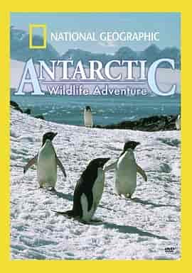 国家地理：南极冰原 Antarctic Wildlife Adventure