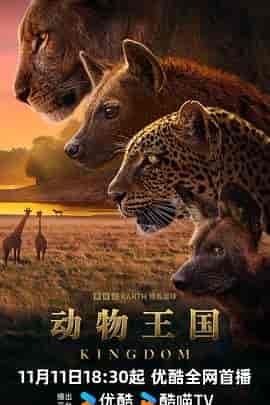 动物王国 Kingdom