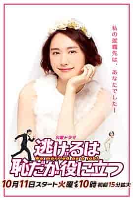 逃避虽可耻但有用 逃げるは恥だが役に立つ