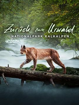 回归远古森林:卡尔克阿尔卑斯国家公园 Zurück zum Urwald - Nationalpark Kalkalpen