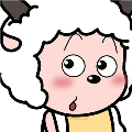Vasi